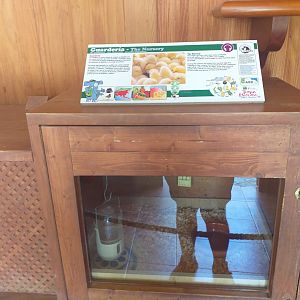 Incubator -TerraNatura Benidorm (2021)