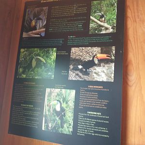 Toucan nesting sign -TerraNatura Benidorm (2021)