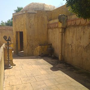 Clouded leopard temple -TerraNatura Benidorm (2021)