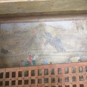 Themeing -TerraNatura Benidorm (2021)