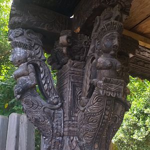 Themeing -TerraNatura Benidorm (2021)