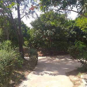 Road to the ungulate and lion viewing areas -TerraNatura Benidorm (2021)