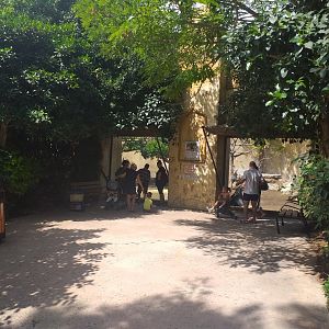 Asiatic lion viewing area -TerraNatura Benidorm (2021)