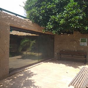 Siamese crocodile exhibit -TerraNatura Benidorm (2021)