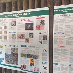 Tiger signae -TerraNatura Benidorm (2021)