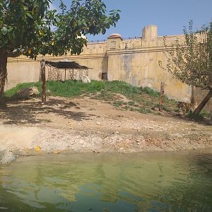 Tiger exhibit -TerraNatura Benidorm (2021)