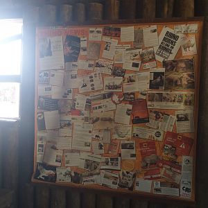 Indian rhinoceros sign -TerraNatura Benidorm (2021)