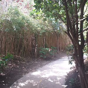 View -TerraNatura Benidorm (2021)