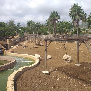 Sambar, Barashinga and Blackbuck exhibit -TerraNatura Benidorm (2021)