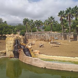 Sambar, Barashinga and Blackbuck exhibit -TerraNatura Benidorm (2021)