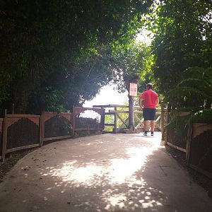 Shusto's bridge -TerraNatura Benidorm (2021)