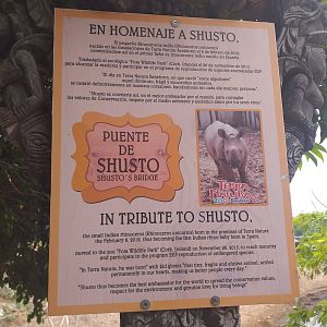 Shusto's bridge sign -TerraNatura Benidorm (2021)