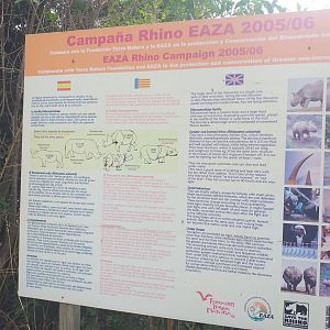 EAZA rhinoceros project (2005-2006) -TerraNatura Benidorm (2021)