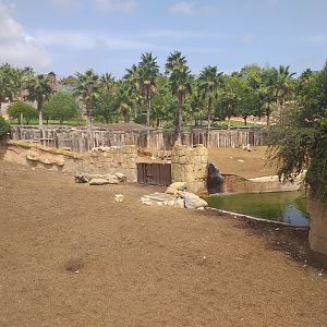 Indian rhinoceros and Nilgai exhibit -TerraNatura Benidorm (2021)