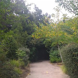 Road to the dhole exhibit -TerraNatura Benidorm (2021)