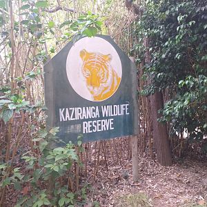 Kaziranga Wildlife Reserve themeing -TerraNatura Benidorm (2021)