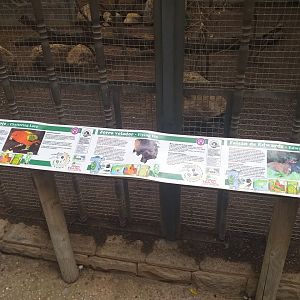 Lyle's flying fox, Edward's pheasant and Chattering lory sign -TerraNatura Benidorm (2021)