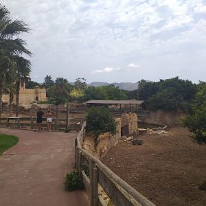 Sambar, Barashinga and Blackbuck exhibit -TerraNatura Benidorm (2021)