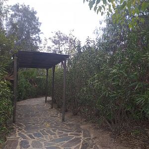 Road to Europe -TerraNatura Benidorm (2021)