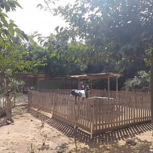 Farm view -TerraNatura Benidorm (2021)