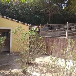 Farm view -TerraNatura Benidorm (2021)