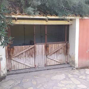 Chicken coop -TerraNatura Benidorm (2021)