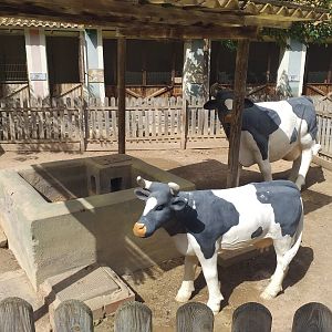 Farm view -TerraNatura Benidorm (2021)