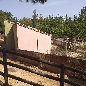 Barashinga exhibit -TerraNatura Benidorm (2021)