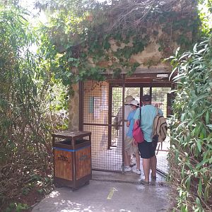 Entrance to the deer and mouflon walkthrough exhibit -TerraNatura Benidorm (2021)