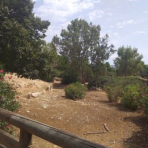 European mouflon, Common fallow deer and Spanish red deer exhibit -TerraNatura Benidorm (2021)