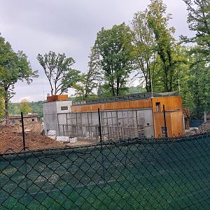 Construction of Lion-tailed macaque exhibit