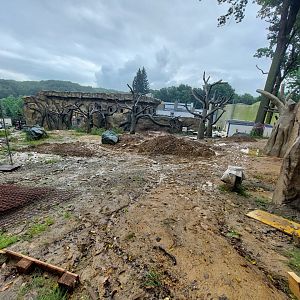 Construction of Gibbon and Hog deer exhibit