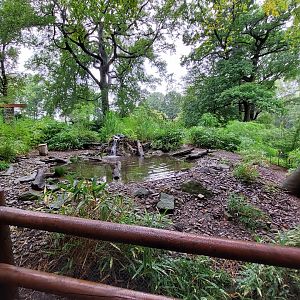 Waterfowl and White-naped crane walkthrough exhibit.