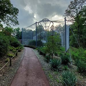 "La Pampa" walkthrough aviary - general look