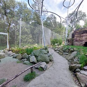 "La Pampa" walkthrough aviary - right side