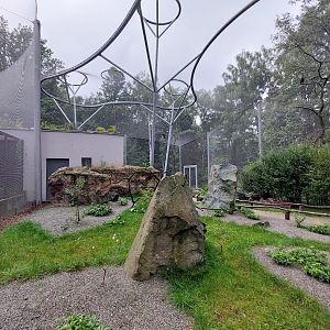 "La Pampa" walkthrough aviary - left side