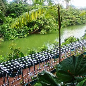 Boardwalk under construction