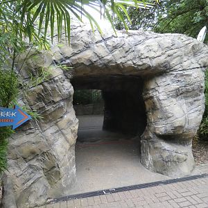 Entrance to Smooth-coated otter cave