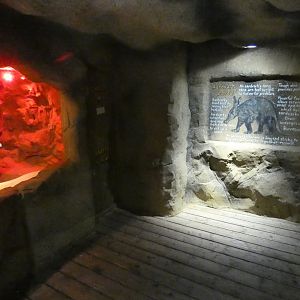 Aardvark indoor viewing area