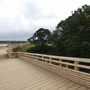 Barbary macaque viewing area