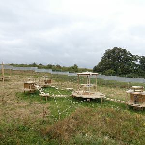 Barbary macaque enclosure (2)