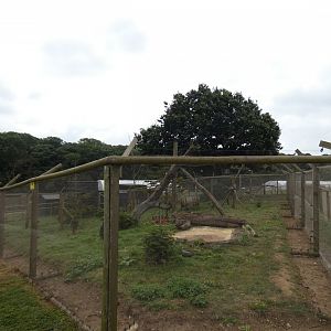 Racoon enclosure
