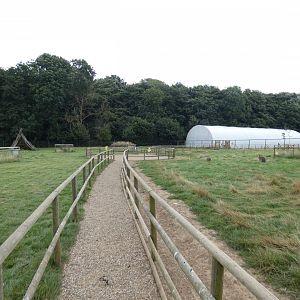 Bennett's wallaby and emu enclosure