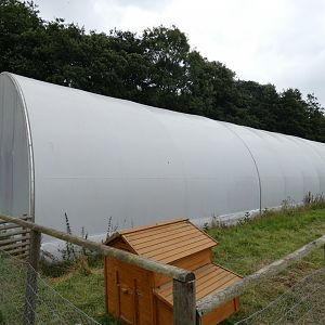 View of tropical house