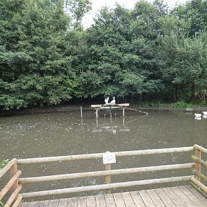Pelican enclosure