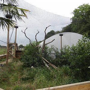 Laughing kookaburra enclosure