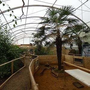 Tropical house inside