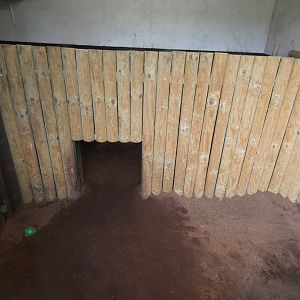 Giant anteater indoor enclosure