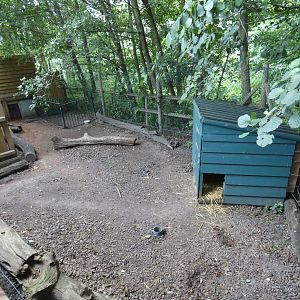Giant anteater outdoor enclosure (2)