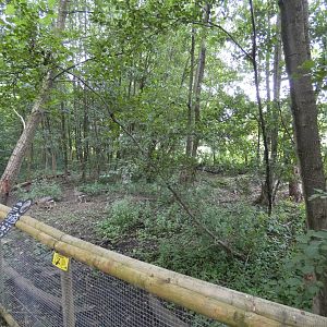 Giant anteater enclosure (3)